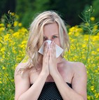 prévention et traitement allergies saisonnières