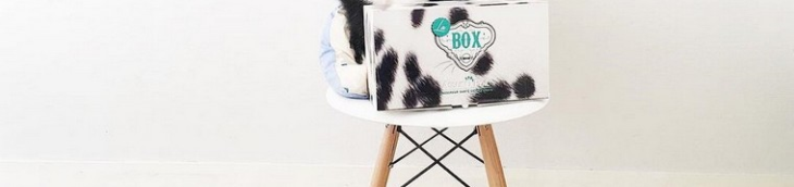 Box chien chat Assur O Poil