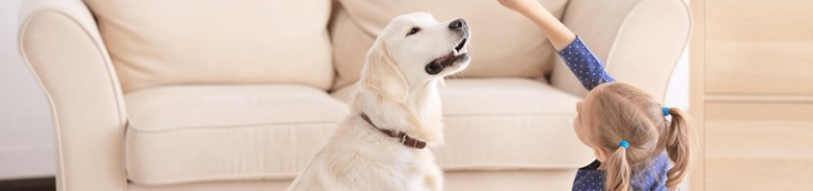 Un chien comme aide-soignant pour un patient souffrant d’un trouble du langage