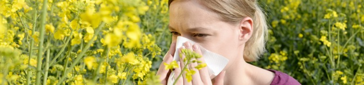 La France fait face à un boom des allergies au pollen dû au réchauffement climatique