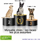 Mutuelle Chien Chat