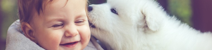 Prévenir les allergies en habituant l’enfant à la présence d’animaux le plus tôt possible