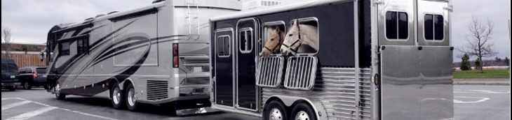 assurance van pour chevaux