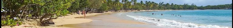 Les Antilles françaises ont la cote pour les vacances de fin d’année