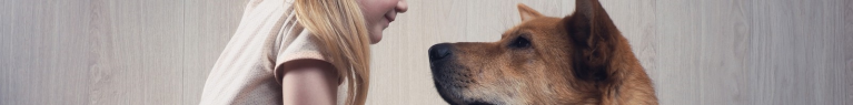 Les chiens sont prédisposés à comprendre le langage humain