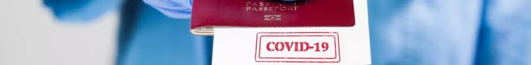 Covid-19 : le pass sanitaire désormais exigé pour partir en voyages ou pour assister à certains événements
