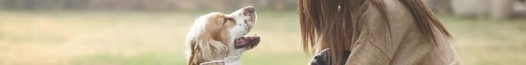 Les États-Unis recensent leur premier décès de chien atteint de coronavirus