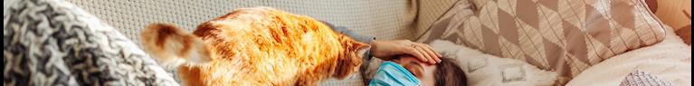 Des études montrent que les chats peuvent contracter le coronavirus de différentes manières 