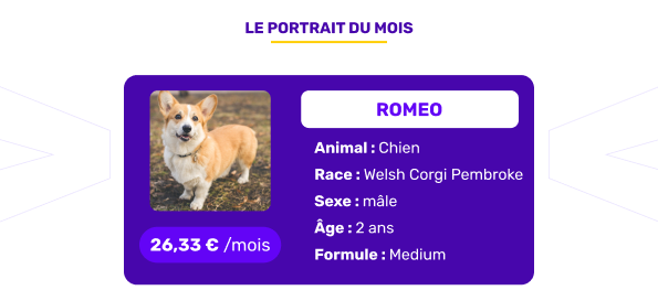 Le portrait de l'animal assuré du mois de juillet 2025