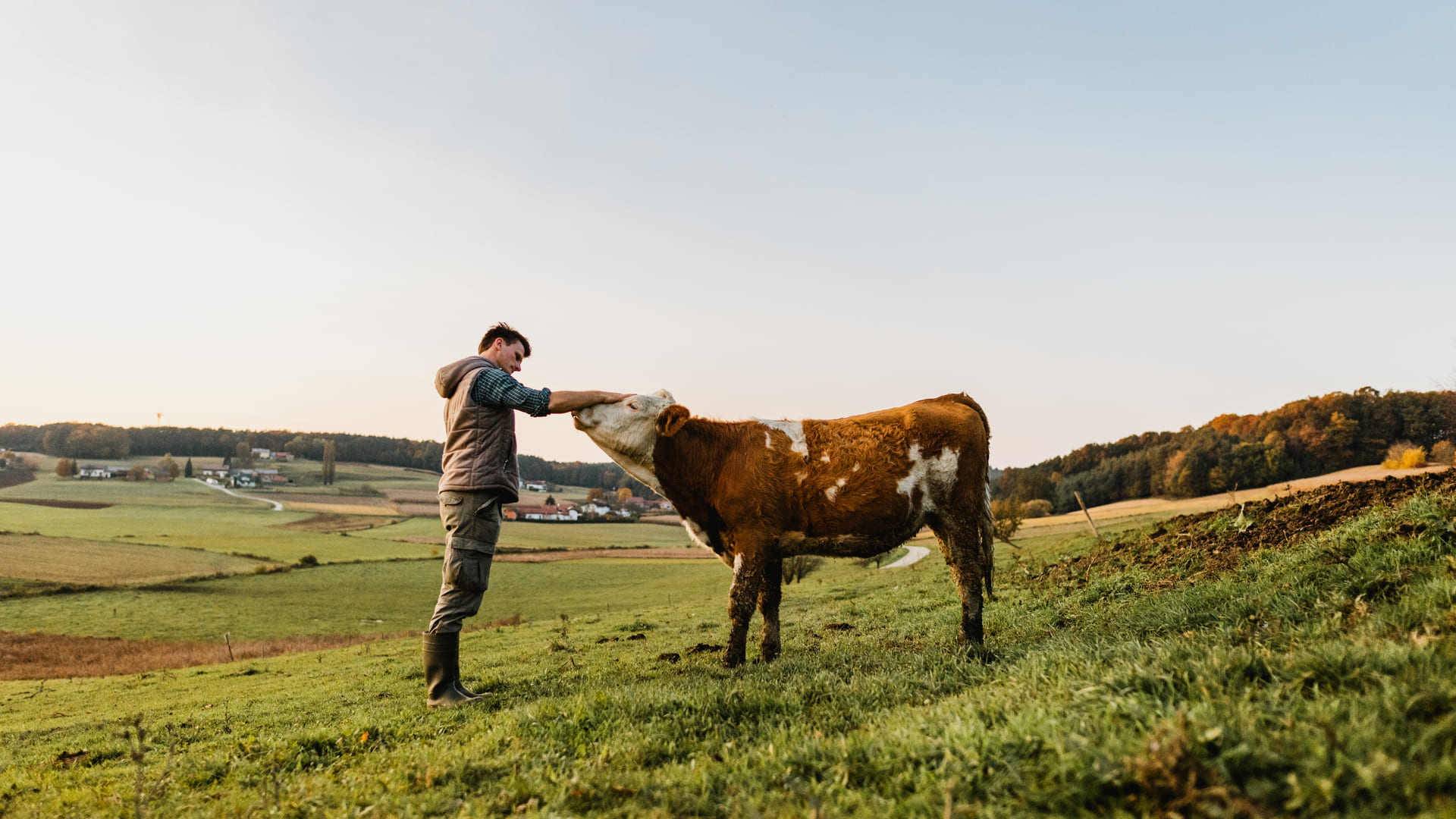 Agriculteur pourquoi souscrire une assurance responsabilité civile