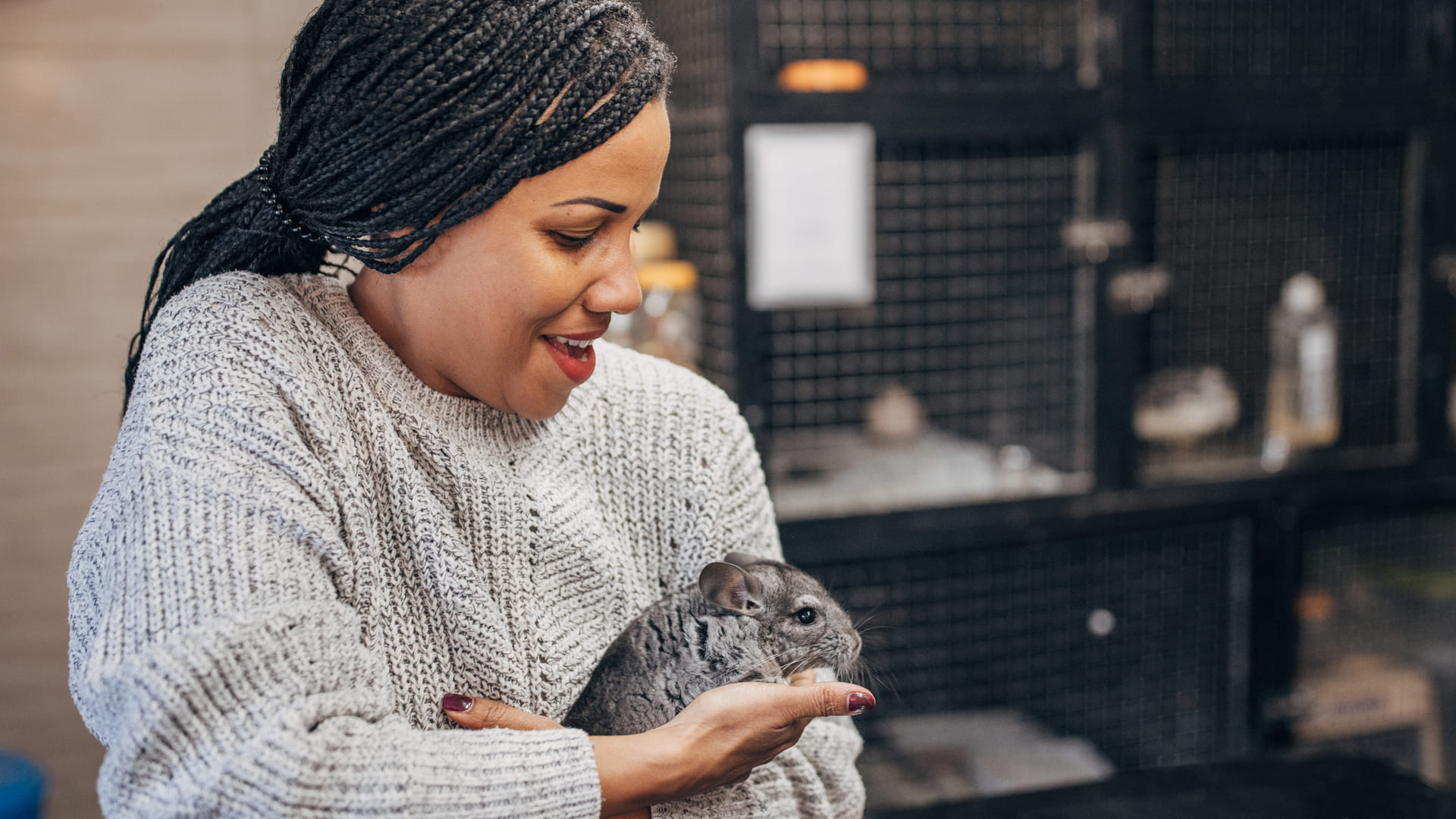 Adopter un chinchilla 