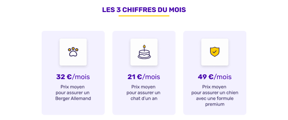 Les chiffres de l'assurance animaux en août 2025