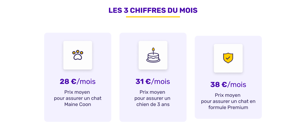 Les chiffres de l'assurance animaux en août 2026
