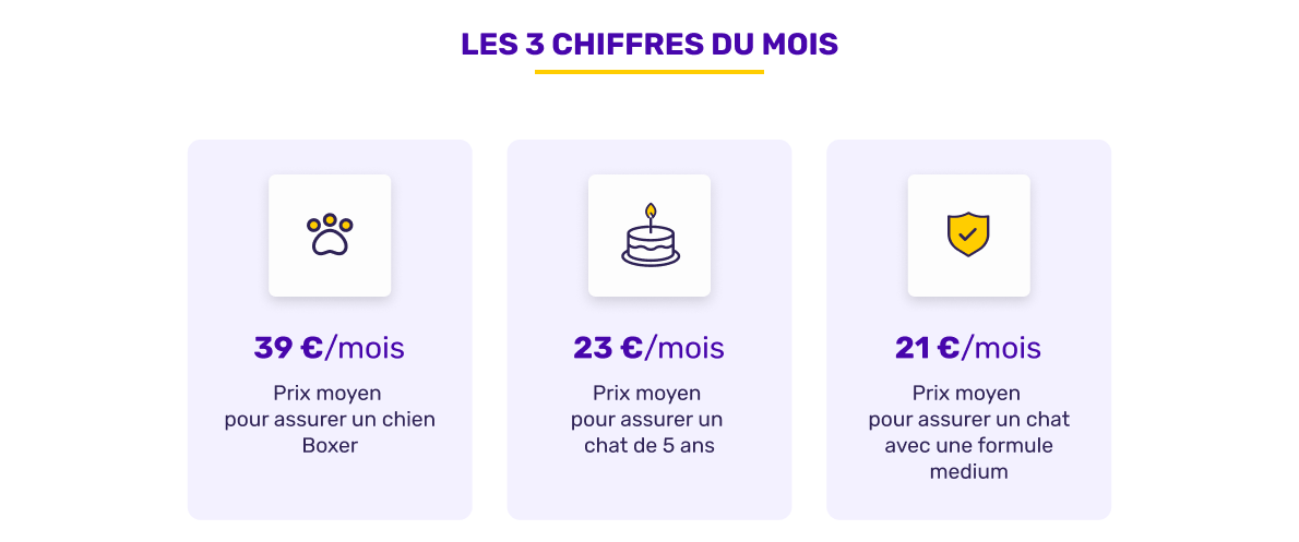 Les chiffres de l'assurance animaux en décembre 2025