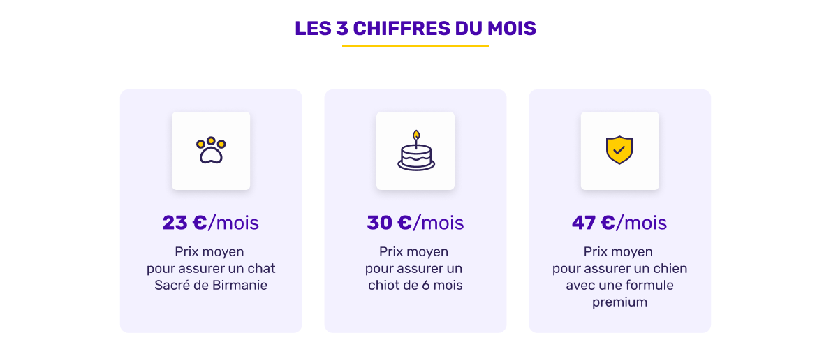 Les chiffres de l'assurance animaux en novembre 2025