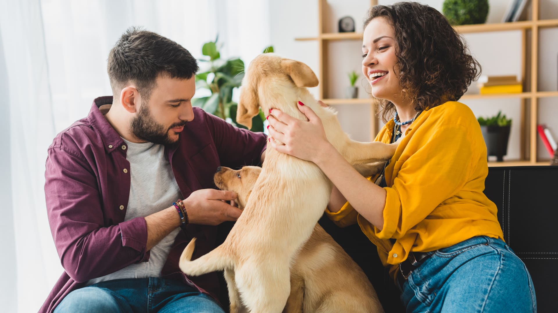 Assurance animaux pas chère