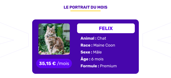 Le portrait de l'animal assuré du mois d'août 2025