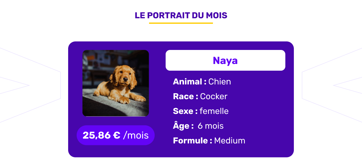 Le portrait de l'animal assuré du mois d'août 2026