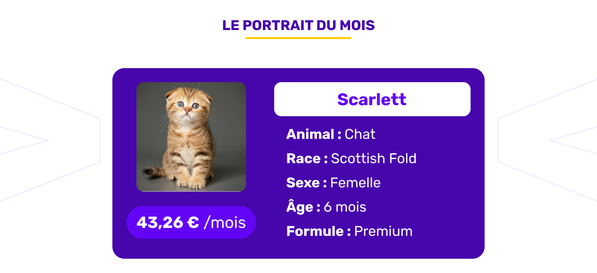 Le portrait de l'animal assuré du mois de décembre 2025