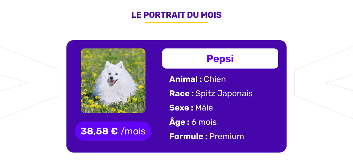 Le portrait de l'animal assuré du mois de janvier 2026