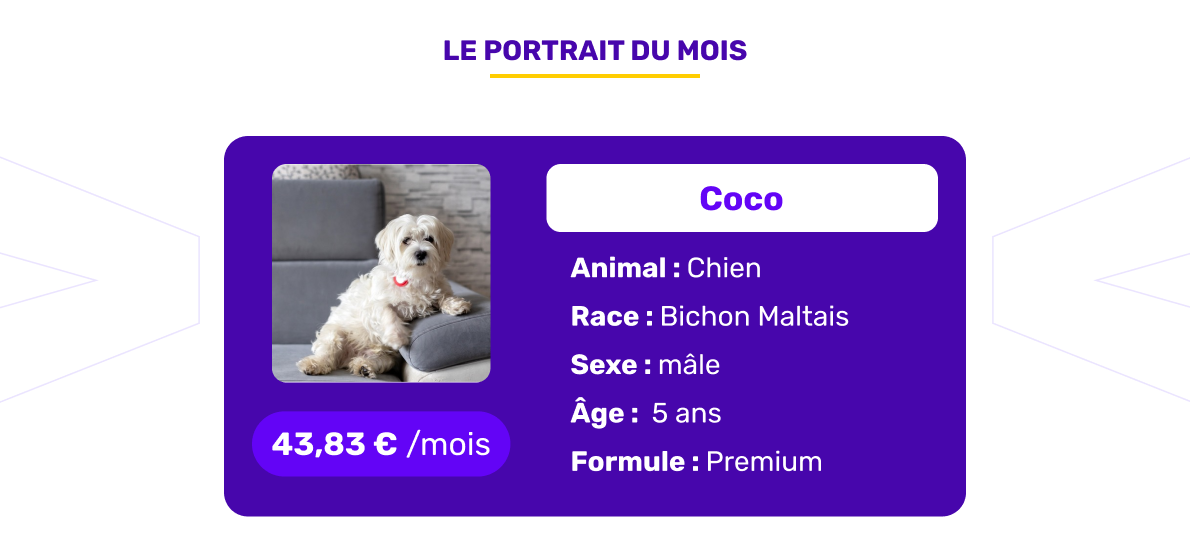 Le portrait de l'animal assuré du mois de mars 2026