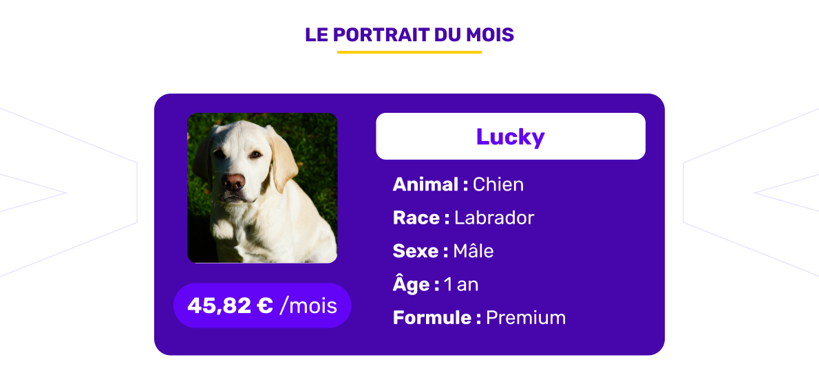 Le portrait de l'animal assuré du mois de novembre 2025