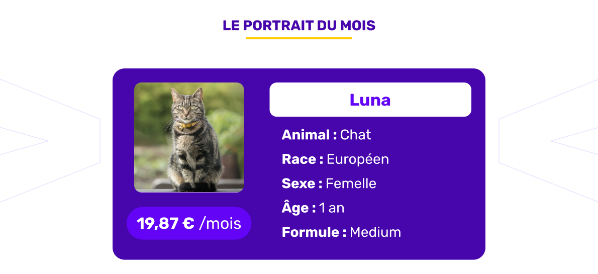 Le portrait de l'animal assuré du mois d'octobre 2025