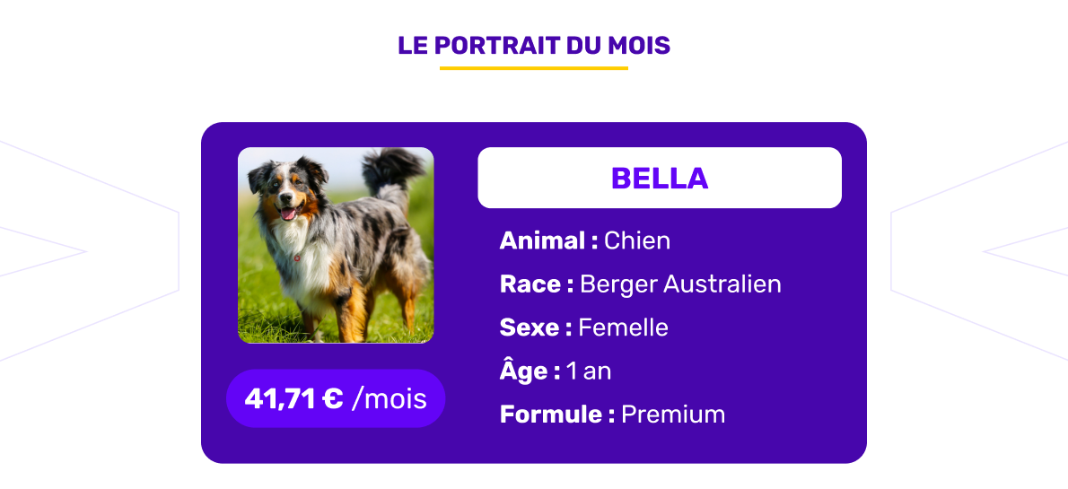 Le portrait de l'animal assuré du mois de septembre 2025