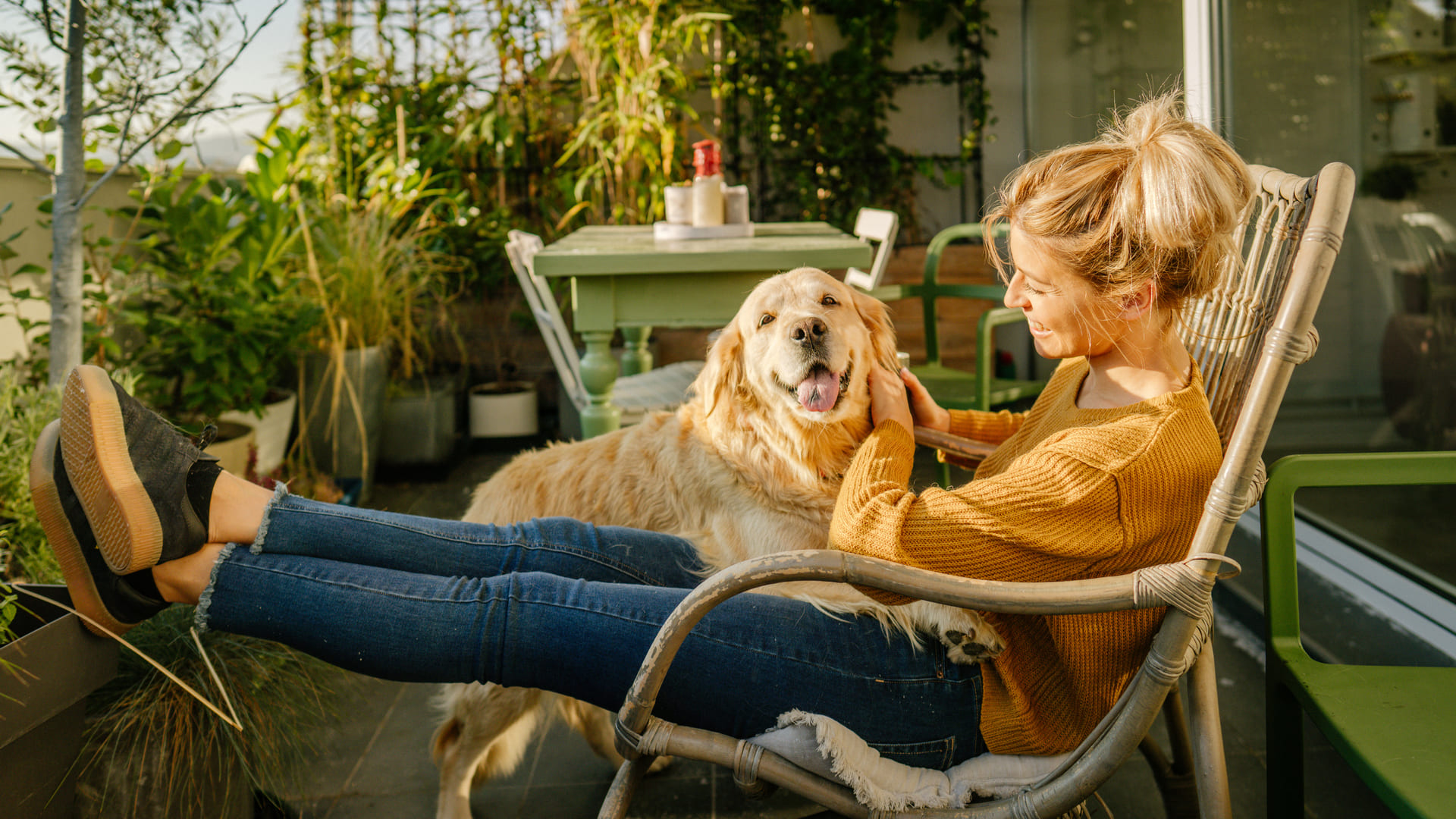 Assurance animaux sans limite d'âge