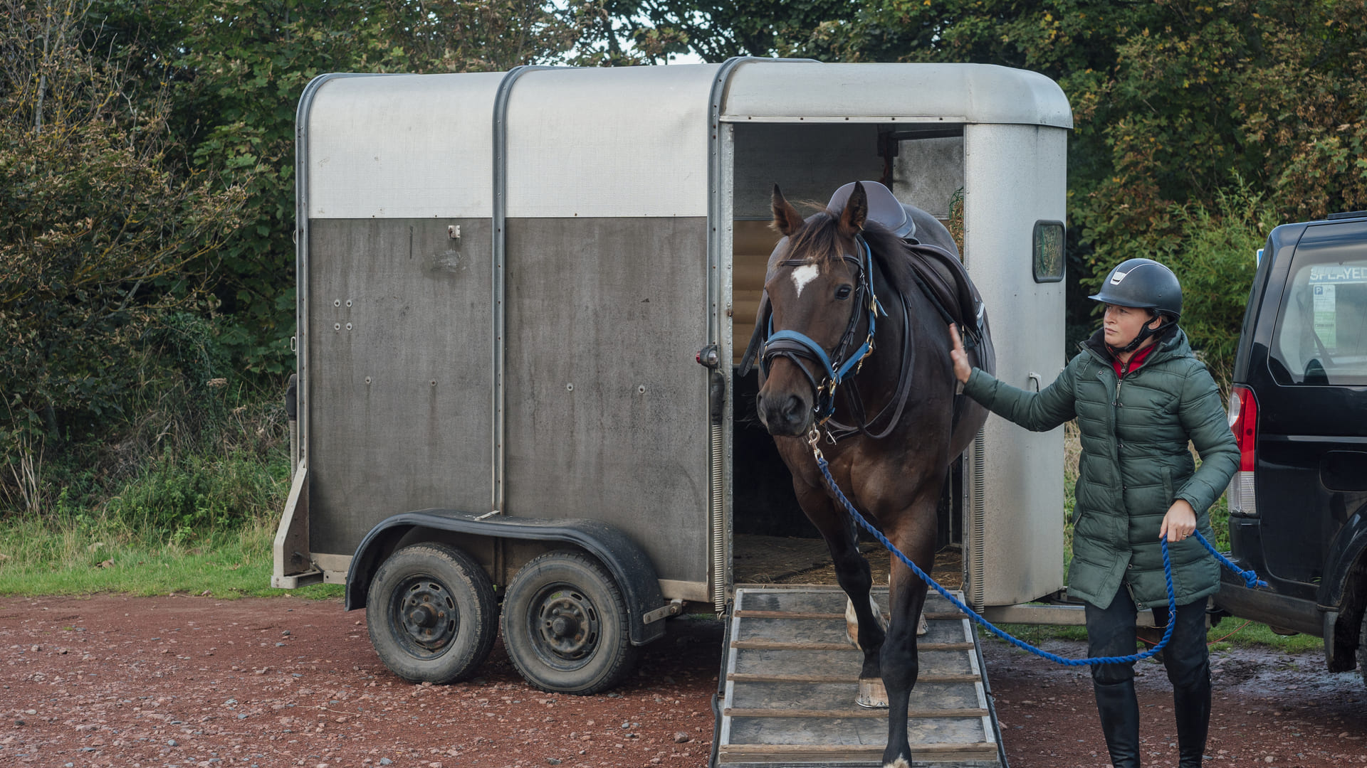 Assurance auto et remoque pour van de chevaux