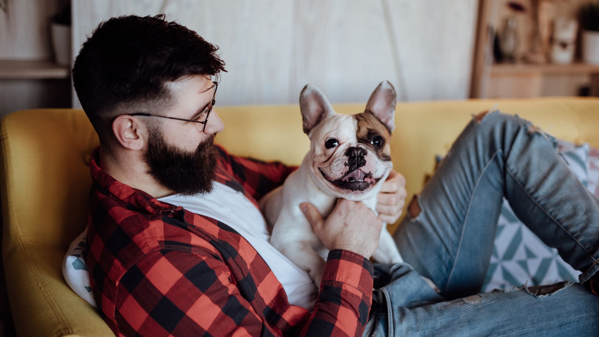 Assurance Bouledogue Français