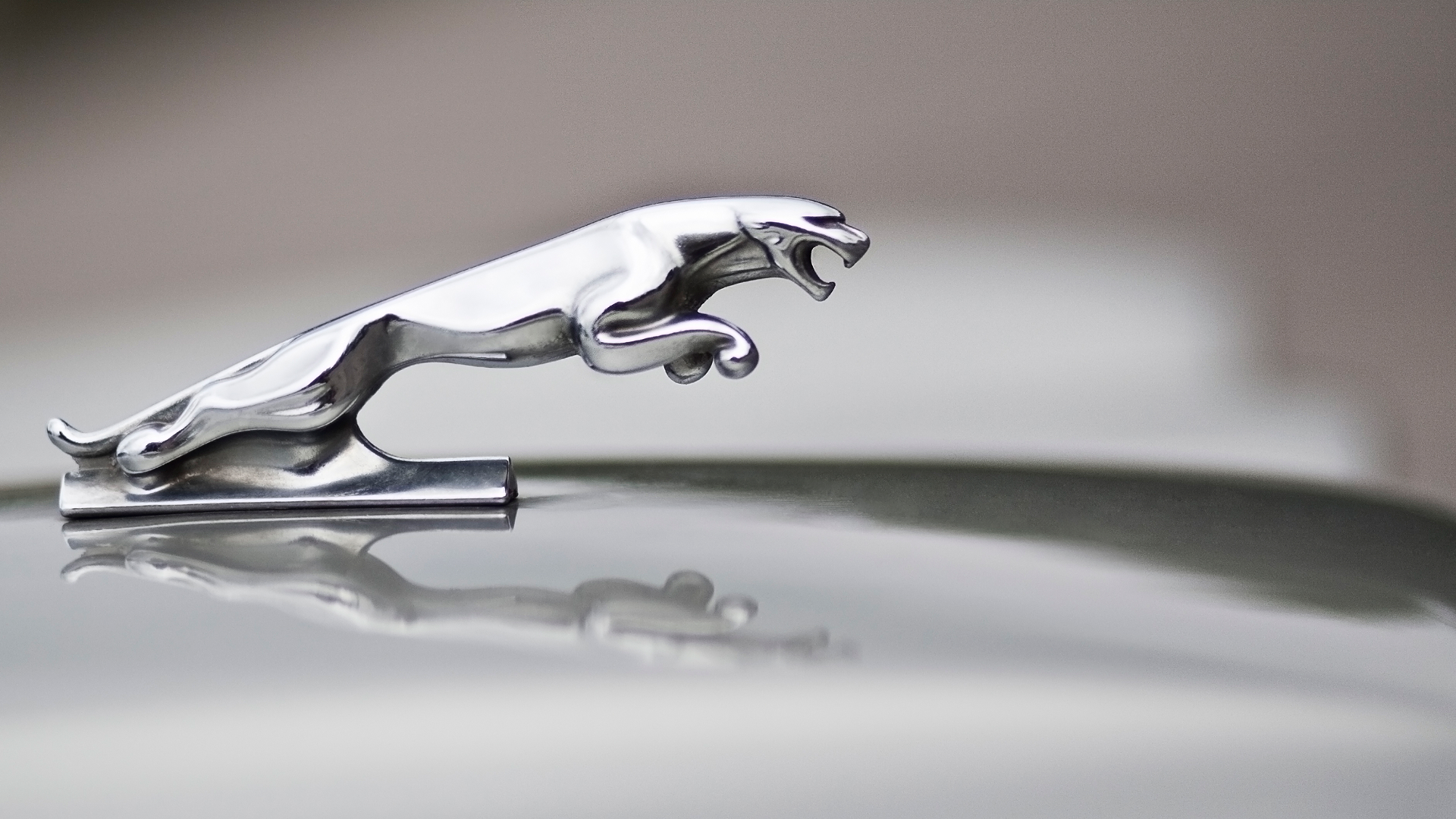 assurance jaguar