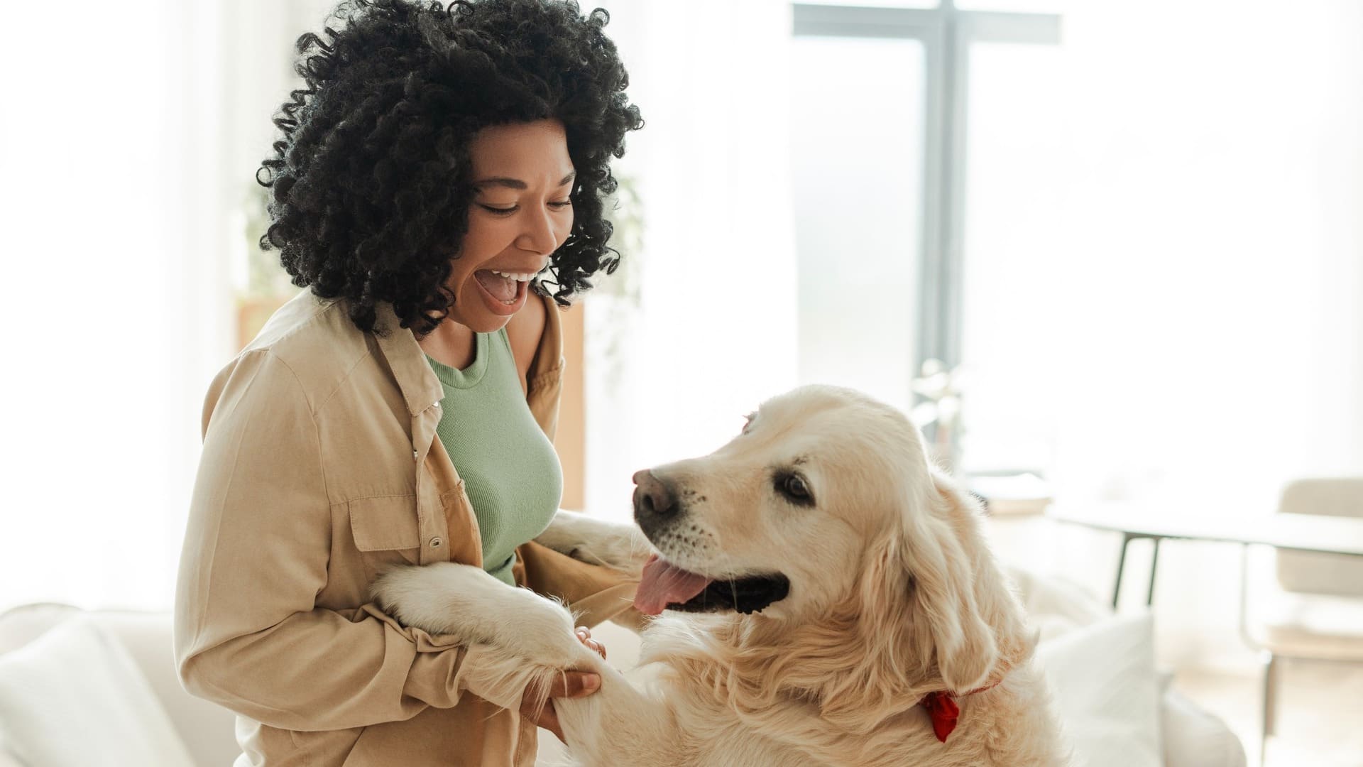 Baromètre de l'assurance animaux mars 2026