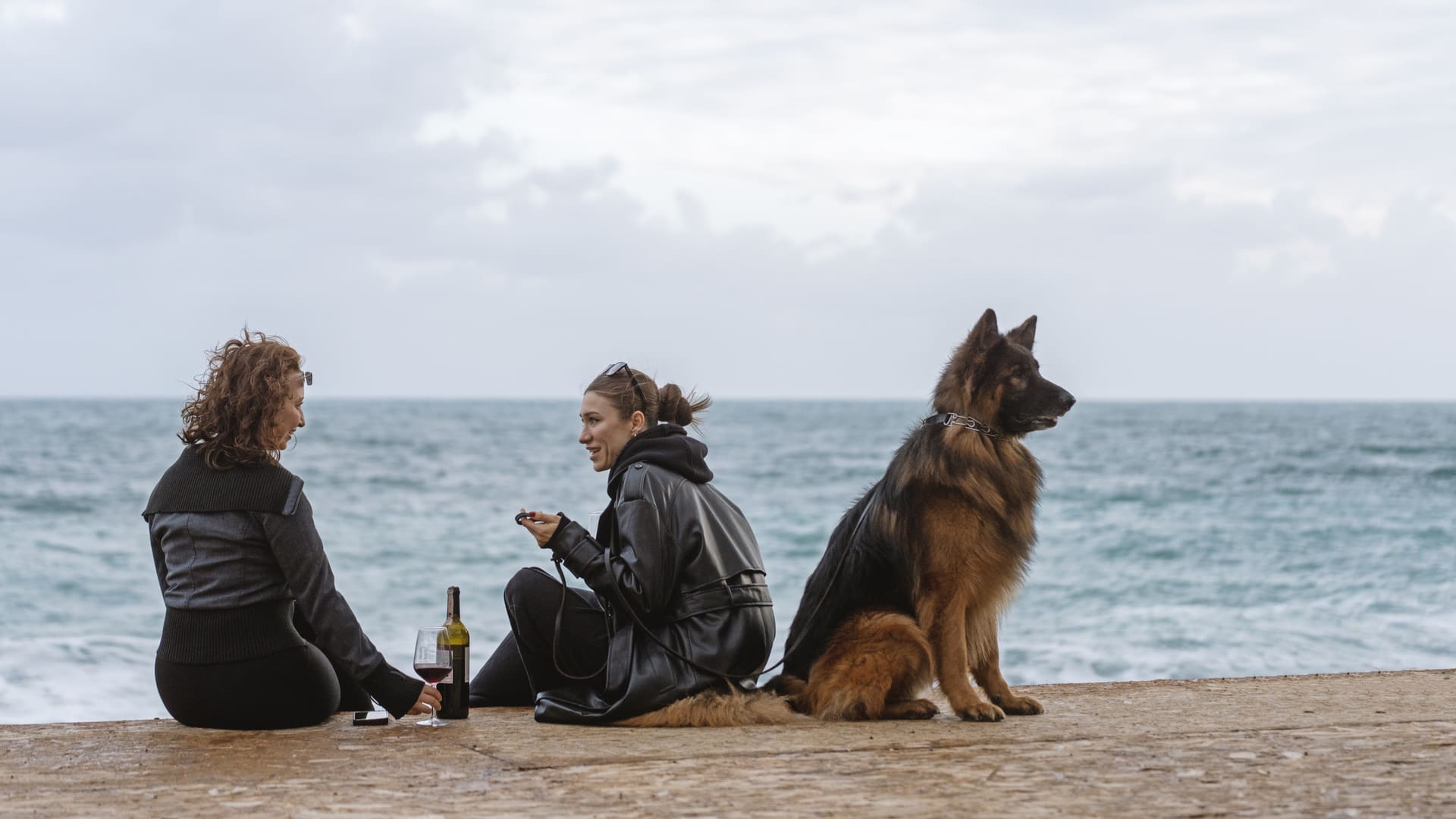Chien d’attaque