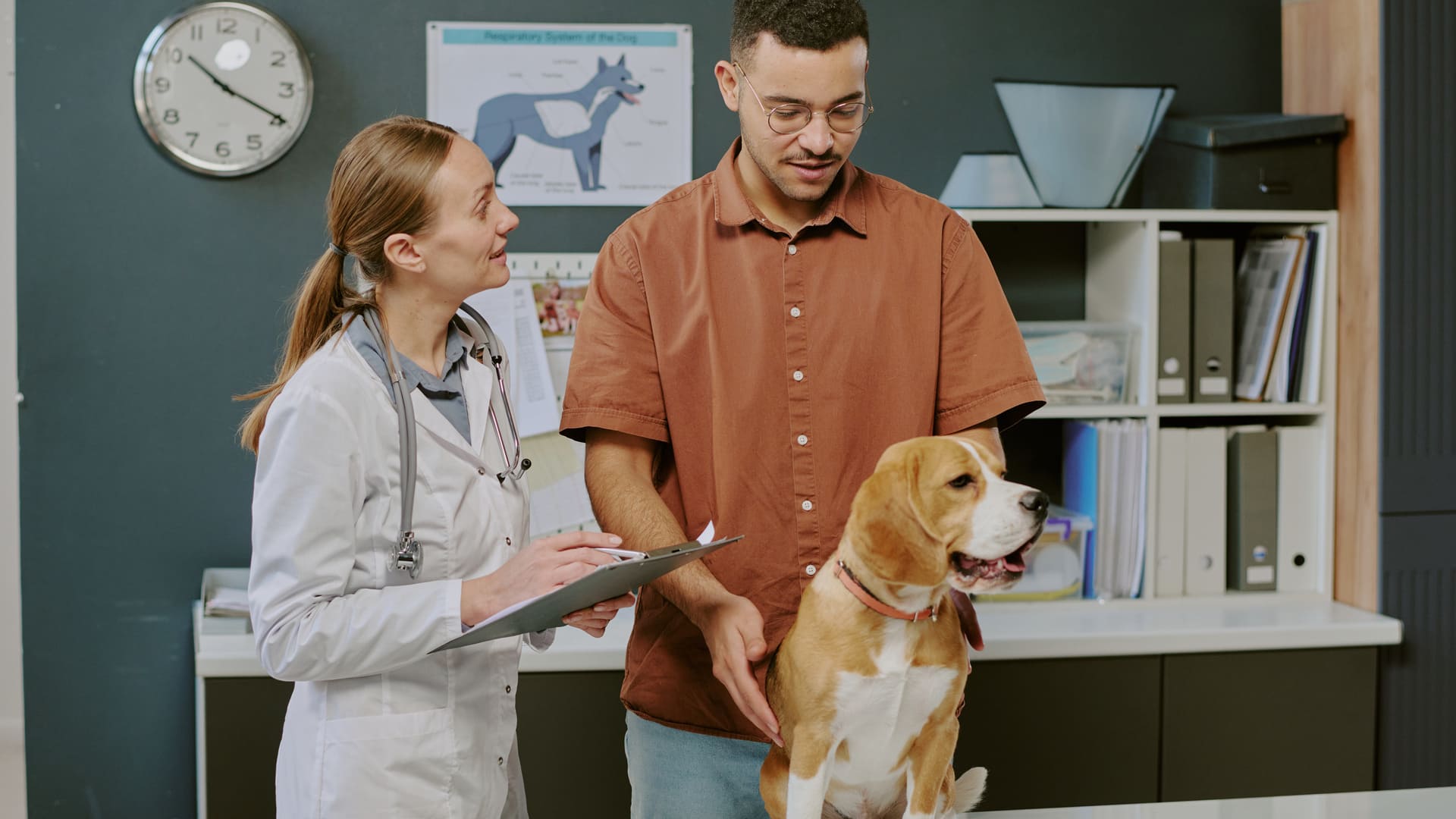 Conjonctivite chez le chien