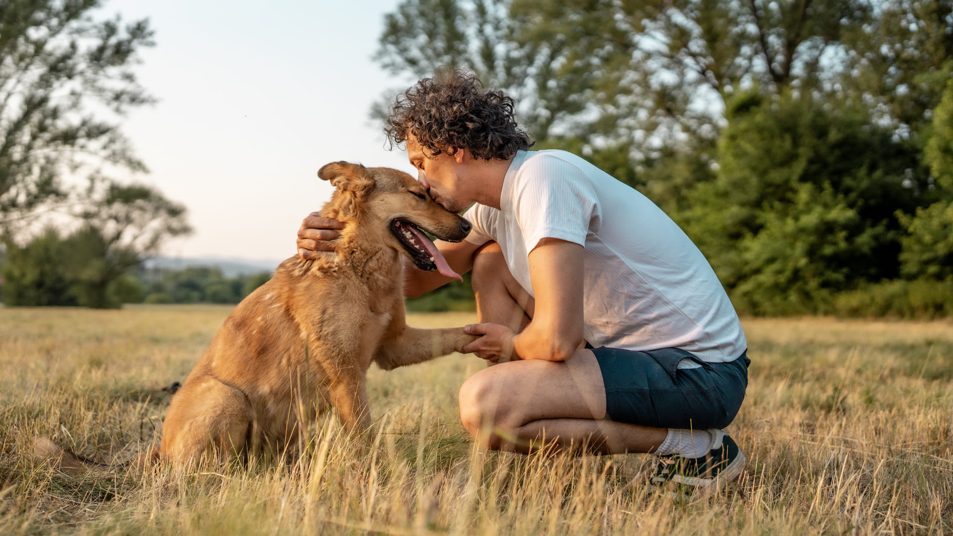 Assurance animaux domestiques
