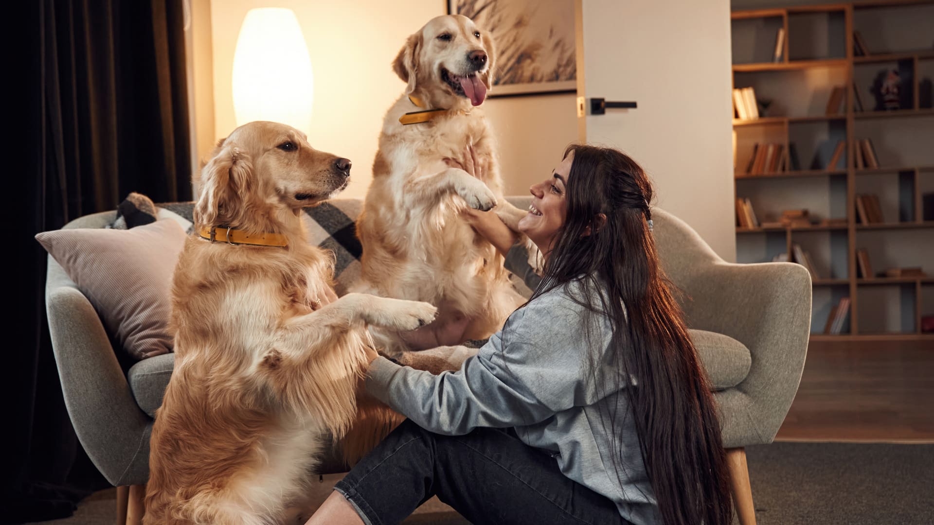 La diarrhée chez le chien