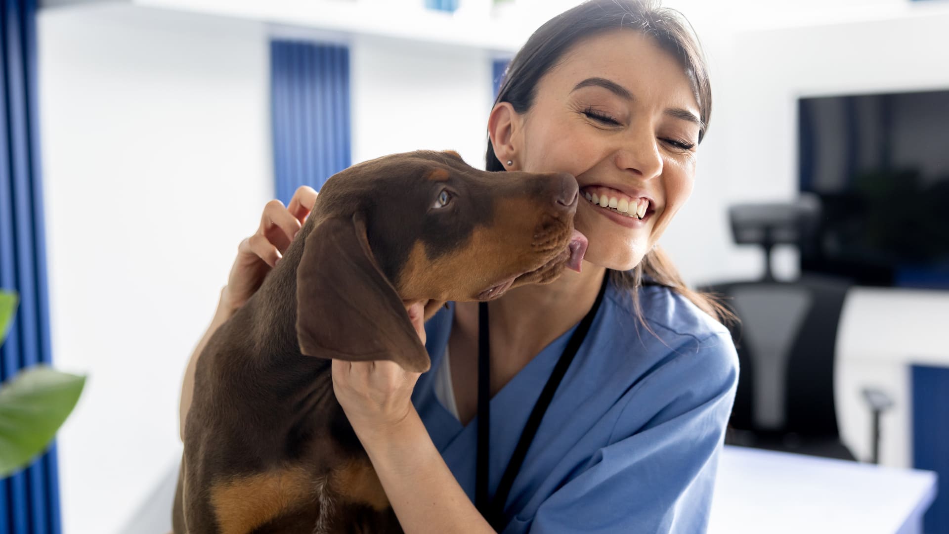 Détartrage dentaire pour chien 