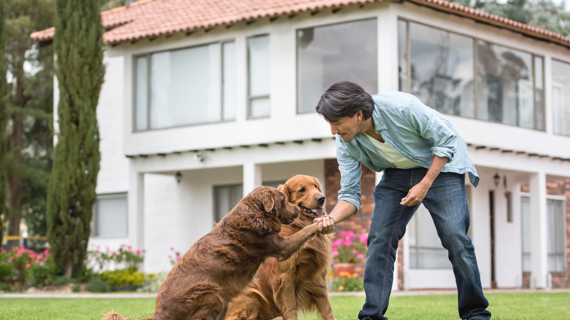 assurance RC Pro éducateur canin