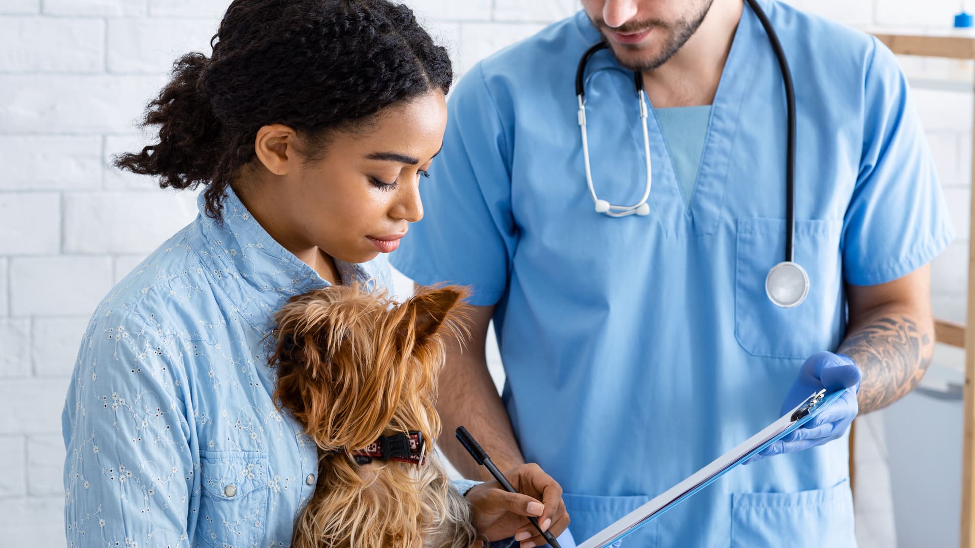 Prix des soins vétérinaires en France