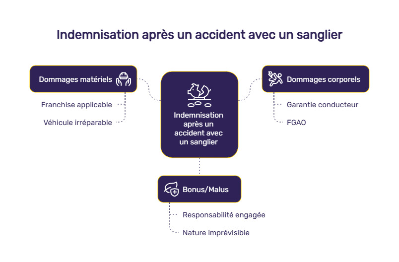infographie accident sanglier qui déclarer