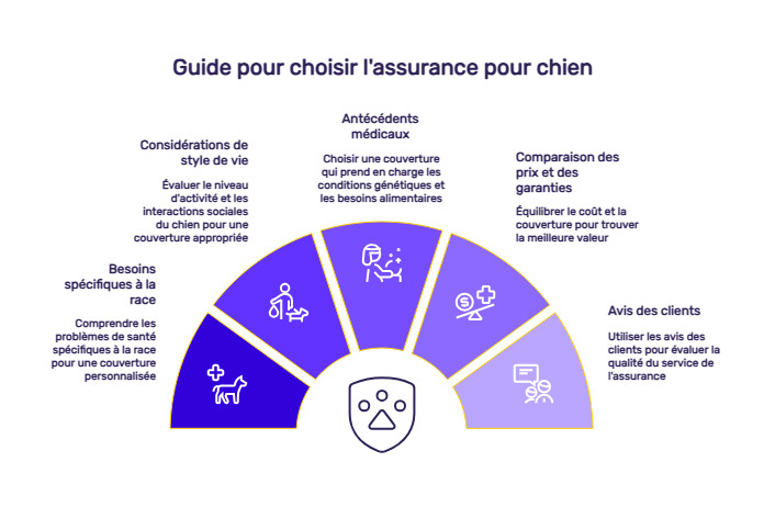 infographie meilleure assurance chien