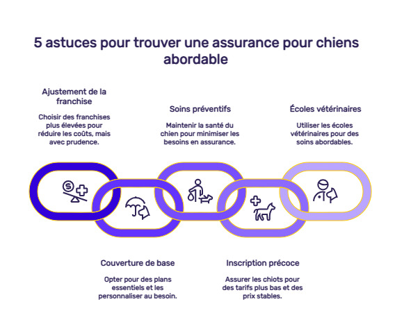 infographie tarif mutuelle chien