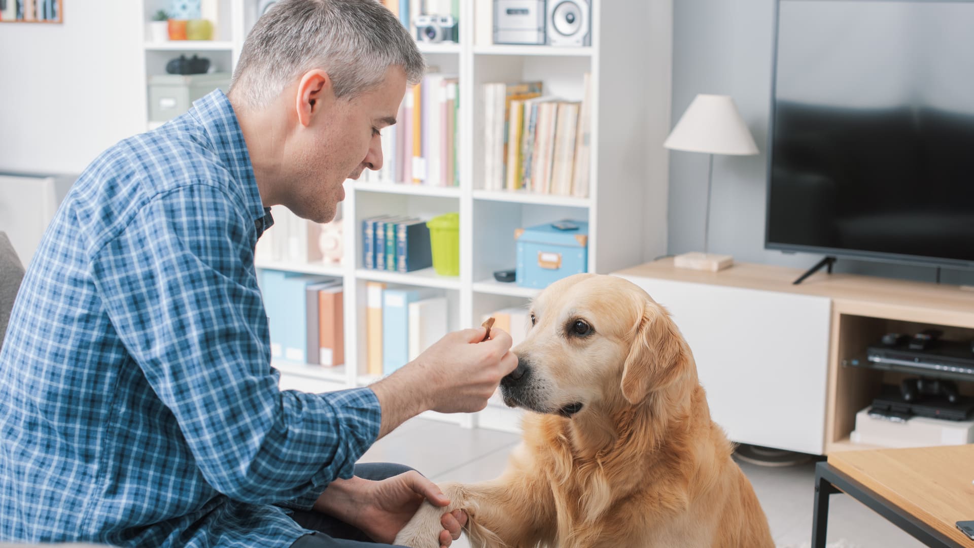 Médecine douce et santé animale, quel remboursement par les mutuelles ?