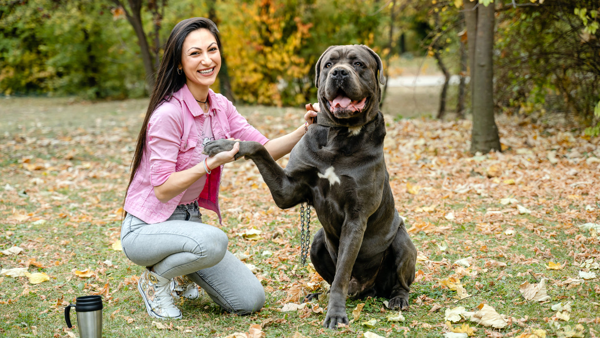 assurance cane corso