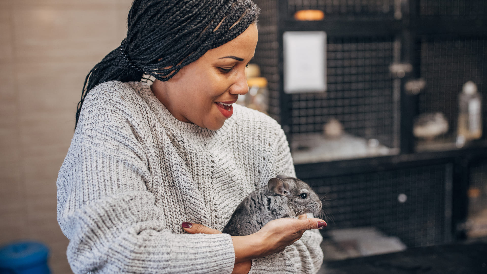 Assurance pour chinchilla