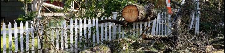 assurance pour une clôture de jardin et maison