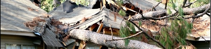 assurance pour les dégâts liés à la tempête