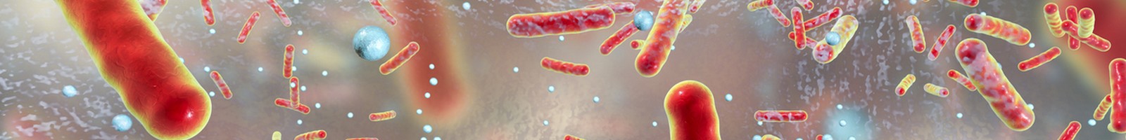 La Klebsiella pneumoniae hypervirulente (KpHV) commence à préoccuper l’OMS