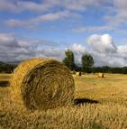 Le régime agricole